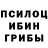 Псилоцибиновые грибы Cubensis Lyudmila Shemenkova