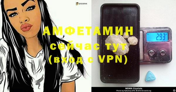гашик Алексеевка